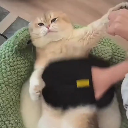 Pet Hair Removal Glove
